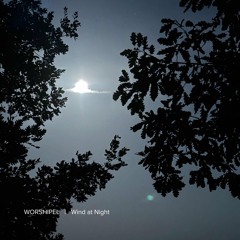 Wind at Night