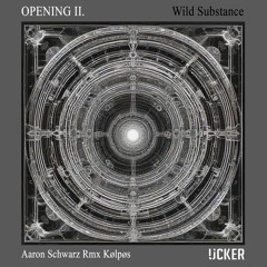 CF Premiere: Aaron Schwarz - Wild Substance [Ucker Records]