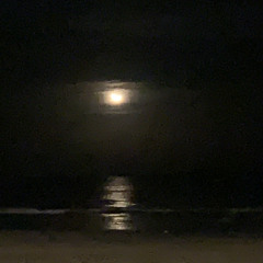 conscious waltz (voice memo)