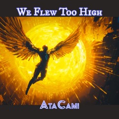We Flew Too High