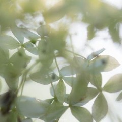 nimu