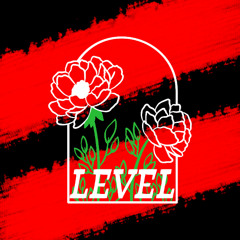 LEVEL