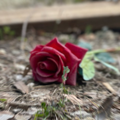 Nonomwun Neniomw - Rakin K- (cover)