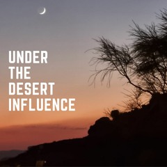 Under The Desert Influence - Live mix