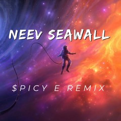 Neev Seawall Spicy E Remix
