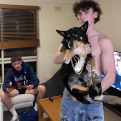 BRXE003
