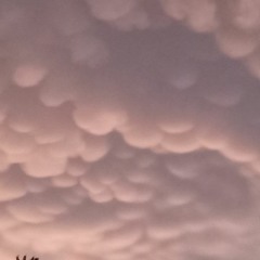 PainFilledPrescription (feat. JayB)