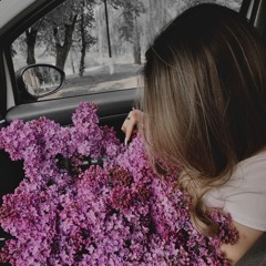 Kalush Orchestra - Stefania (Dipiens Remix)