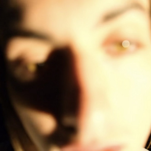 2 Bugs