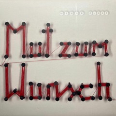 "Mut zum Wunsch" (2. Studio Album)