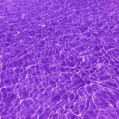 purple water