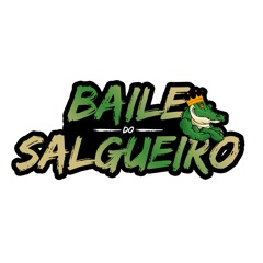 VEM PRO SALGUEIRO VEM PRA PUTARIA [ DJ ORELHA SALGUEIRO ]