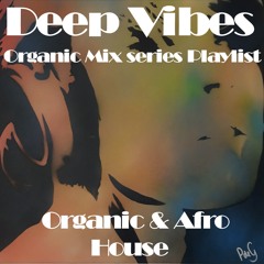 Organic Vibes Mix Series [119-122bpm]