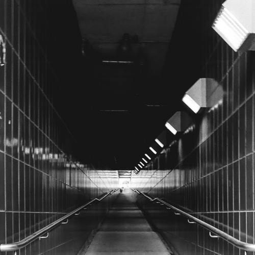 COOL HEAT - Not My Fault (feat. Flowerbabe)