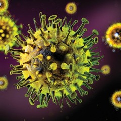 Transit Worker Got AIDS Test After Spit