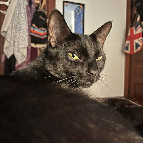 fuck around and find out