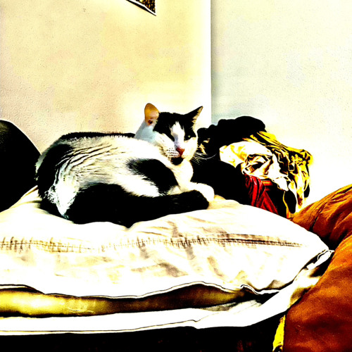 Pillowbox
