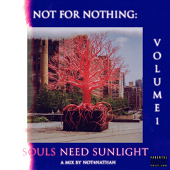 Souls Need Sunlight - Not for Nothing: VOL. 1