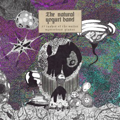 The Natural Yogurt Band - 57 Lashes Of The Mallet