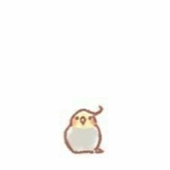 tweet tweet