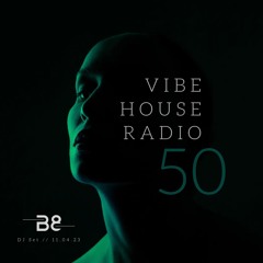 Vibe House Radio 050 - 11.4.23