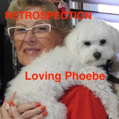 Loving Phoebe (resurrected after deletion)