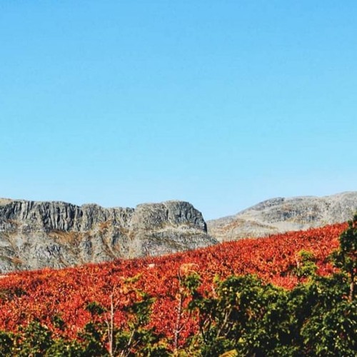 HK_Free_Sets/Mixes/Live_26