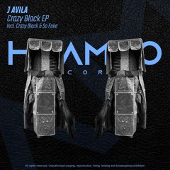 J Avila - So Fake (Fun Mix)
