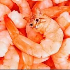 7G Cell Tower 4-24-2025