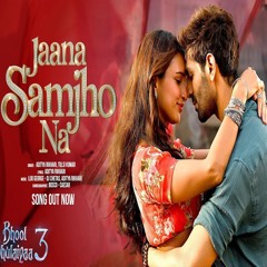 Jaana Samjho Na (Bhool Bhulaiyaa 3) - Aditya Rikhari x Tulsi Kumar (0fficial Mp3)