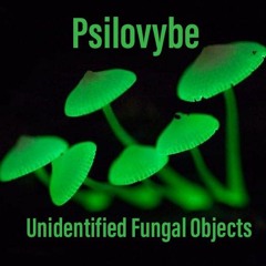 -=Psilovybe=- <)(>Unidentified Fungal Objects<)(>