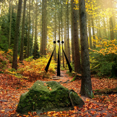 Samhain - Herbstwald