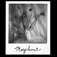 morphine (demo)