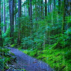 Rainstorm Sounds For Relaxing, Focus Or Deep Sleep - Literal White Noise