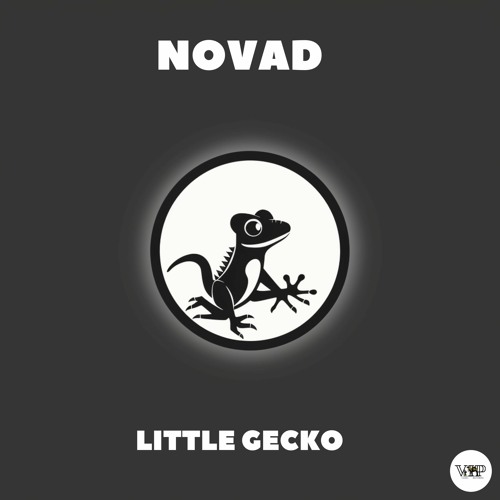 Stream Novad - Little Gecko [Camel VIP Records] by 𝐂𝐚𝐦𝐞𝐥 𝐕𝐈𝐏 Records ...