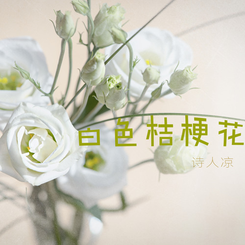 白色桔梗花by 诗人凉