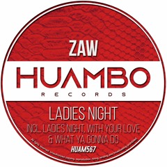 ZAW - Ladies Night (Fun Mix)