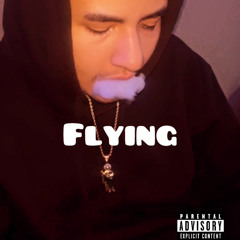 Flying - ffayzo