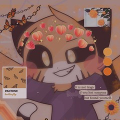 𝙈𝙮 𝙁𝙖𝙫𝙤𝙧𝙞𝙩𝙚 𝙈𝙚𝙢𝙚𝙨/𝙎𝙤𝙣𝙜𝙨