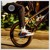 Artwork for Biking (Solo)