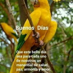 DOS LUCEROS       JEAN CARLOS CENTENO