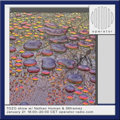 TOZO show w/ Nathan Homan & 36framez - 21st January 2025