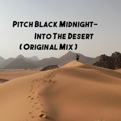 Pitch Black Midnight- Into The Desert (original Mix)