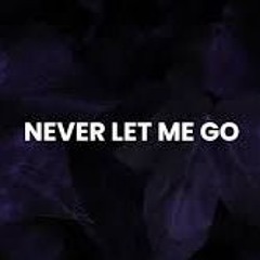 NEVER LEMME GO (Syked Up Soundz Remix)