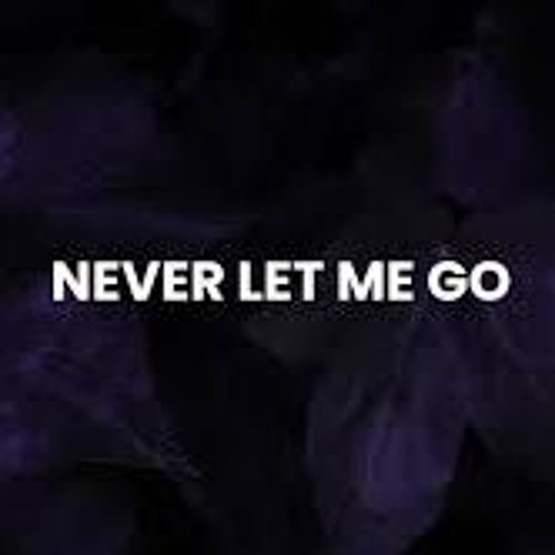 NEVER LEMME GO (Syked Up Soundz Remix)