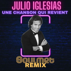 Julio Iglesias - Une Chanson Qui Revient #Niskens (David Kust Remix)