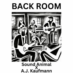 Sound Animal X A.J. Kaufmann - Back Room