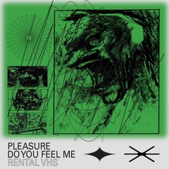 Pleasure / Do You Feel Me