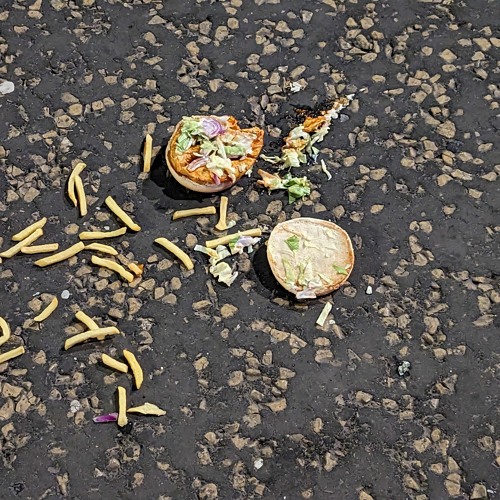 Wondering Where (It All Went Wrong)[feat. Alvie]