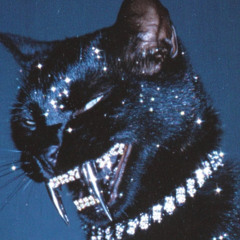 Black Cats(Prod.Kage)